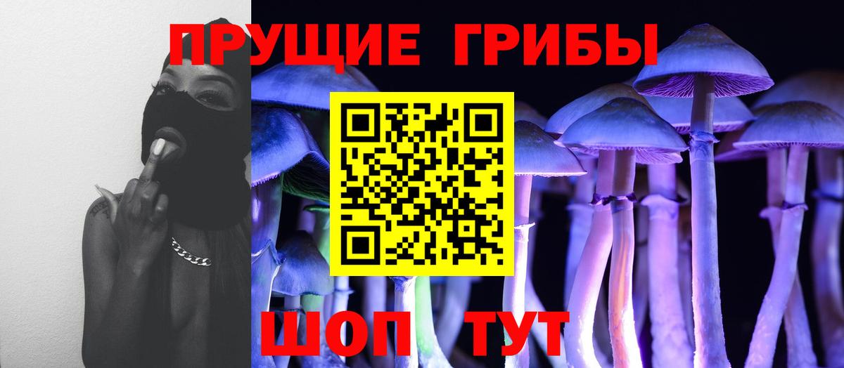 Галлюциногенные грибы Cubensis  Вход с VPN  Острогожск 