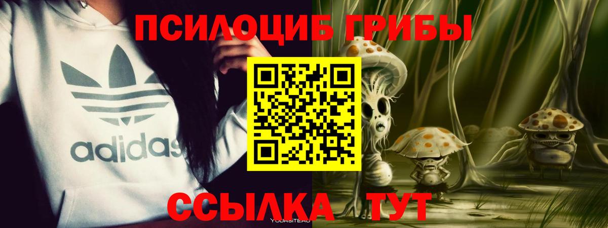 Галлюциногенные грибы GOLDEN TEACHER Острогожск